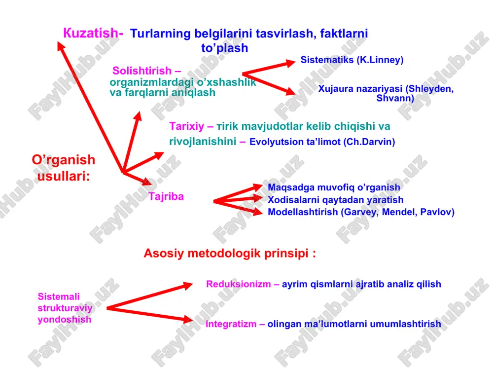 hayotning molekulyar asoslari - Page 4