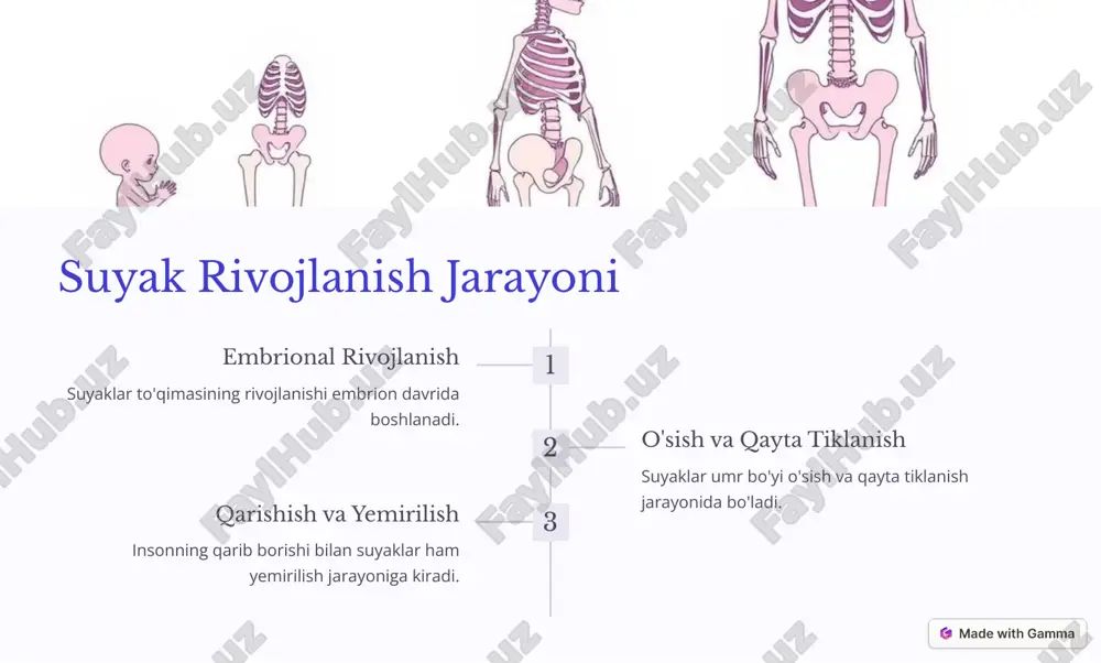suyak tuzilishi - Page 4