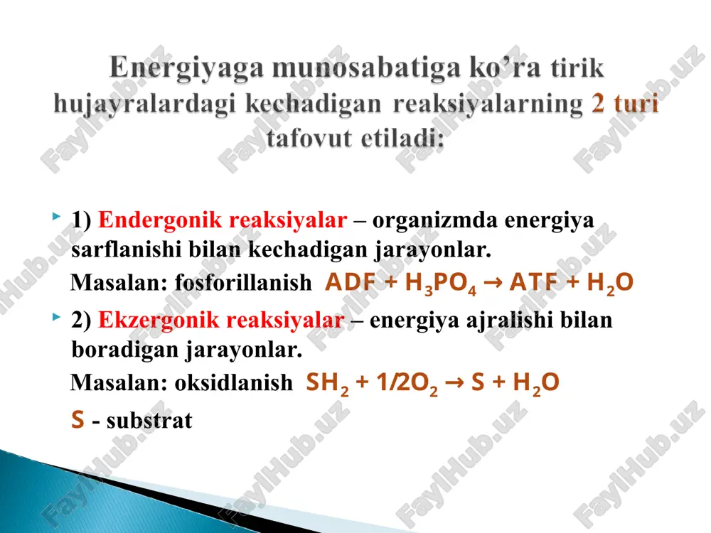 itoxondriyada joylashgan. nadf li fermentlar esa kamroq (40%) va sitoplazmada joylashadi. 2) flavinga bog'liq bo'lgan degidrogenazalar. prostetik guruh sifatida fad yoki fmn saqlaydi. 3) ubixinon – koenzim q 4) sitoxromlar.- gemli fermentlar. elektron tashiydi. nimotinamidadenindinukleotid prostetik gruppa sifatida fad yoki fmn tutadi. ularning asosiy tarkibiy qismi bo’lib vitamin b2 – riboflavin hisoblanadi. piridinga bog’liq bo’lgan degidrogenazalardan farqli o’laroq, flavinga bog’liq bo’lgan degidrogenazalar bir va undan ko’p fad va fmn tutadilar, oqsil qismi bilan kuchli bog’langandir va murakkab oqsil – flavoproteidni hosil qiladi. flavinga bog’liq bo’lgan degidrogenazalar vodorod atomlarini izoalloksazan xalqasining birinchi va beshinchi azot atomlariga biriktiradi. flavinadenindinukleotid flavinmonoadeninkislota n conh2 + r + h–substrat–h qaytarilgan shakli conh2 n r h h + h+ + substrat oksidlangan shakli n n n n n n n n r r h h h h ch3 ch3 ch3 ch3 o o o o nad+ nadh fad fadh2 +2h+ - 2h+ mitoxondriyalarning lipid qismidan ajratib …