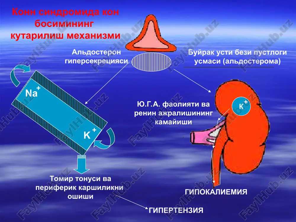 simptomatik gipertenziya vazorenal gipertenziya - Page 4