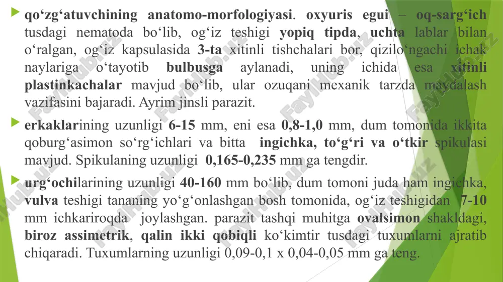 otlarning oksiurozi - Page 4