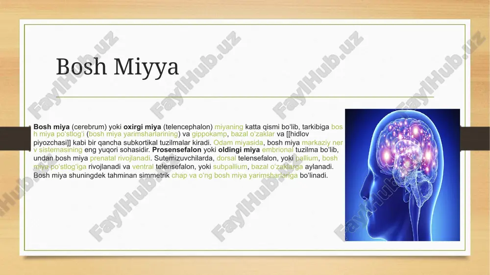 bosh miyya - Page 4