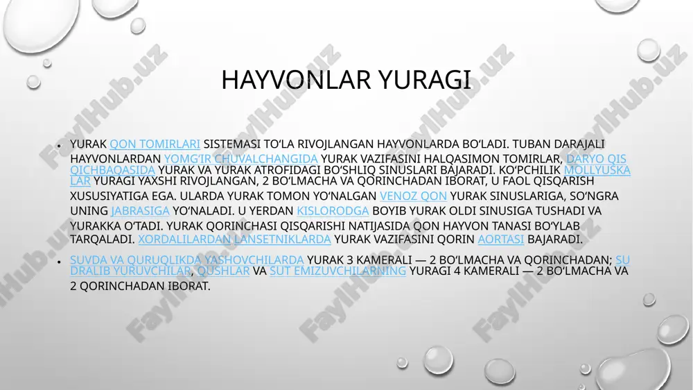 yurakninghayotdagiahamiyati - Page 4