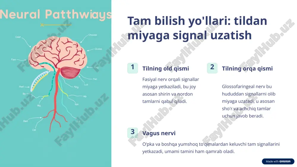 tam bilishning biokimyoviy asoslari - Page 4