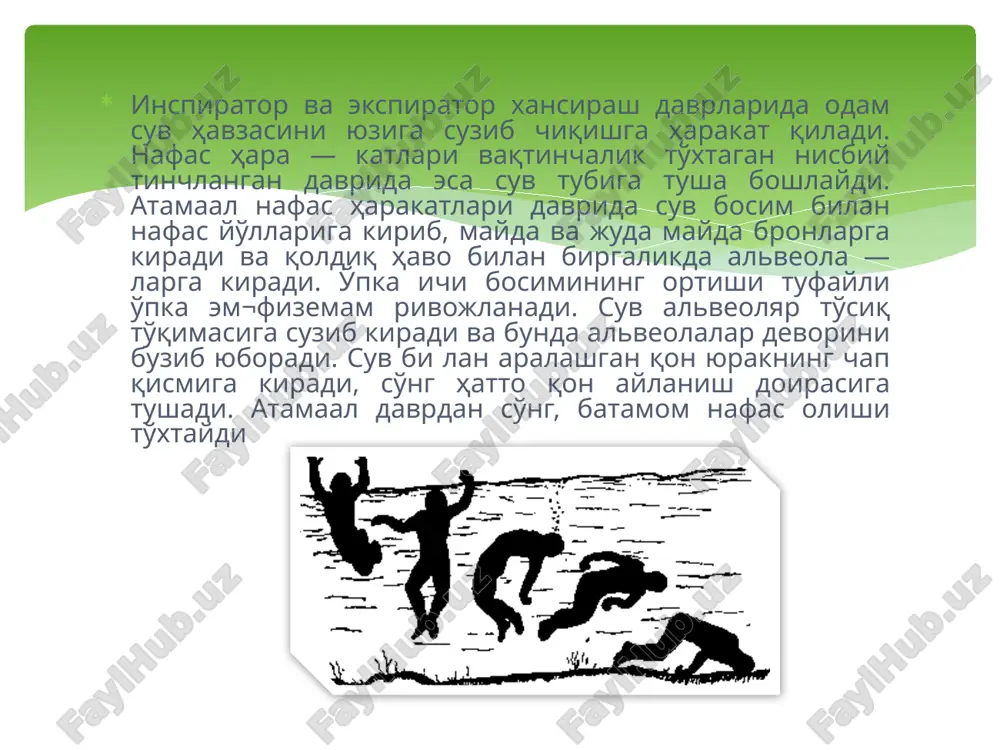 a rivojlanishini ushlab turadi. taxminan 2 haftadan so'ng terini bo'kishi natijasida soch to'kila boshlaydi, oyni oxiriga kelib esa, ayniqsa issiq suv bo'lsa sochni hammasi to'kilib «kal» holatga keladi. hayotligidagi soch to'kilishidan farqli, bunda murda bosh terisida to'kilgan soch o'rnida chuqurcha yaxshi bilinib turadi. soch to'kilishi murdani suvda uzoq muldat bo'lganligidan darak beradi, bu esa murdani identifikatsiya paytida zarur bo'ladi. murdani identifikatsiya paytida zarur bo'ladi. fitoplanktonni faqat o'pkada topilishi murdani suvda bo'lganligini ko'rsatadi, chunki u nafas yo'llariga murdani suvga tushganida kiradi, o'lim cho'kish bilan bog'liq bo'lmagan hollarda ham. suvda murda sekin —asta ko'p gaz ajratgan holda chiriy boshlaydi. chirishdan hosil bo'lgan gazlarning ko'tarish kuchi juda yuqori bo'lib, murdaga bog'langan 30 kg yuk, umumiy tana vazni 60 — 70 kg bo'lgan cho'kkan murdani suv yuziga qalqib chiqishiga to'sqinlik qila olmaydi. yozda, nisbatan issiq suvda, chirish jarayonlari tezroq rivojlanadi. sovuq suv chirishga to'sqinlik qiladi, murda suv havzasining tubida haftalab va hatto oylab turishi …