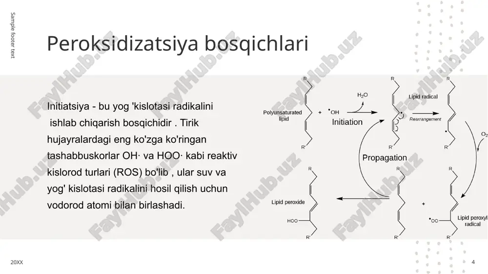 i. 20xx 10 e’tiboringiz uchun rahmat! 11 20xx sample footer text image1.jpeg image2.jpeg image3.jpeg image4.jpeg image5.jpeg image6.png image7.png image8.jpeg mixed race woman standing on paddleboard in ocean