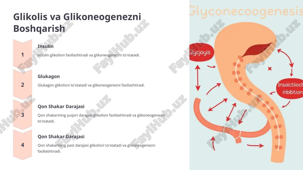 jigarda glikolis va glikoneogenezni boshqarilishi - Page 4