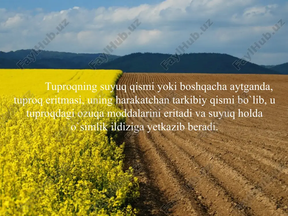 defektologiyalogopediya1kurs305-guruxtalabasi - Page 4
