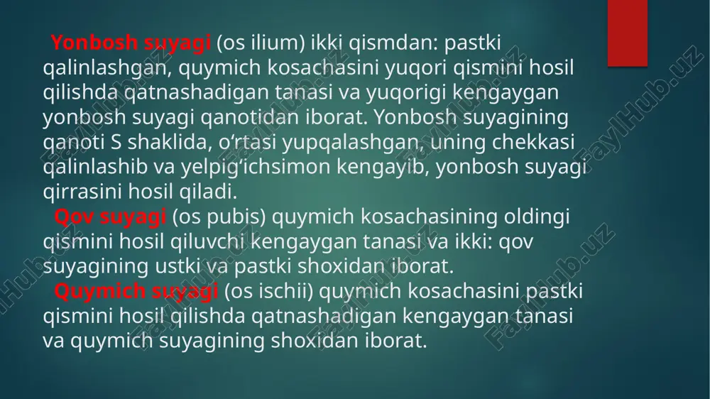suyak; 4–uzun kichik boldir mushagi payining egati; 5–v oyoq kafti suyagining do‘ngligi; 6–oyoq kafti suyaklari; 7– proksimal falanga; 8–o‘rta falanga; 9–distal falanga; 10–sesamasimon suyaklar; 11–i oyoq kafti suyagi; 12–medial ponasimon suyak; 13–oraliqdagi ponasimon suyak; 14–lateral ponasimon suyak; 15–qayiqsimon suyak; 16–qayiqsimon suyak g‘adir-budurligi; 17–oshiq suyagi; 18–oshiq suyagining tayanchi; 19–oshiq suyagining orqa o‘simtasi; 20–bosh barmoqni bukuvchi uzun mushak payining egati. image6.jpg image7.jpg image8.emf image9.emf image10.emf image2.png image3.png image4.png image5.png /docprops/thumbnail.jpeg