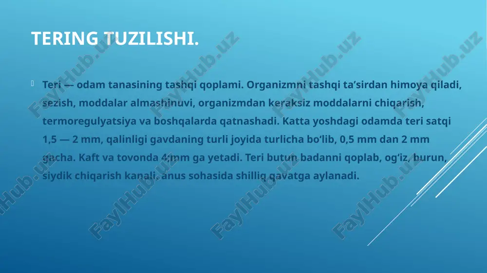 ptor) apparati boʻlib, 10 qanatdan tuzilgan; boʻlardan eng muhimi koʻrish hujayralari — tayoqcha va kolbacha hujayralar qanati yorugʻni sezishdan tashqari, rangni ham ajratadi. toʻr parda markazidagi sariq dogʻ narsalarni miridan sirigacha ajratib, aniq koʻrishga imkon beradi. sariq dogʻ yaqinidagi koʻr dogʻ — toʻr pardaning sezmaydigan qismidir. toʻr pardadan nerv tolalari shu yerga (koʻr dogʻga) yigʻilib keladi va koʻrish nervini hosil qiladi. bu nerv sklera orqali oʻtib, kalla boʻshligʻiga kiradi va ikkinchi koʻzning koʻrish nervi bilan kesishib, koʻrish yoʻlini hosil qiladi, bu yoʻl bosh miyaning ensa boʻlagigacha davom etadi. bosh miyaning har bir yarim sharida ikkala ko`zning koʻrish markazi bor. foydalanilgan adabiyotlar zoxidov x.z., xudoyberdiyev x. odam anatomiyasi. toshkent 1972 y. vorobova ye.a. va boshqalar anatomiya va fiziologiya. toshkent 1987 y. n.k.ahmedov “normal va patologik anatomiya bilan fizologiya” 1997 yil .toshkent. v.y. lipchenko “atlas normalnoy anatomii cheloveka”1983 yil .moskva. image1.png image2.jpeg image3.jpeg image4.png image5.jpeg image6.png image7.png image8.png image9.png image10.png image11.png image12.png …