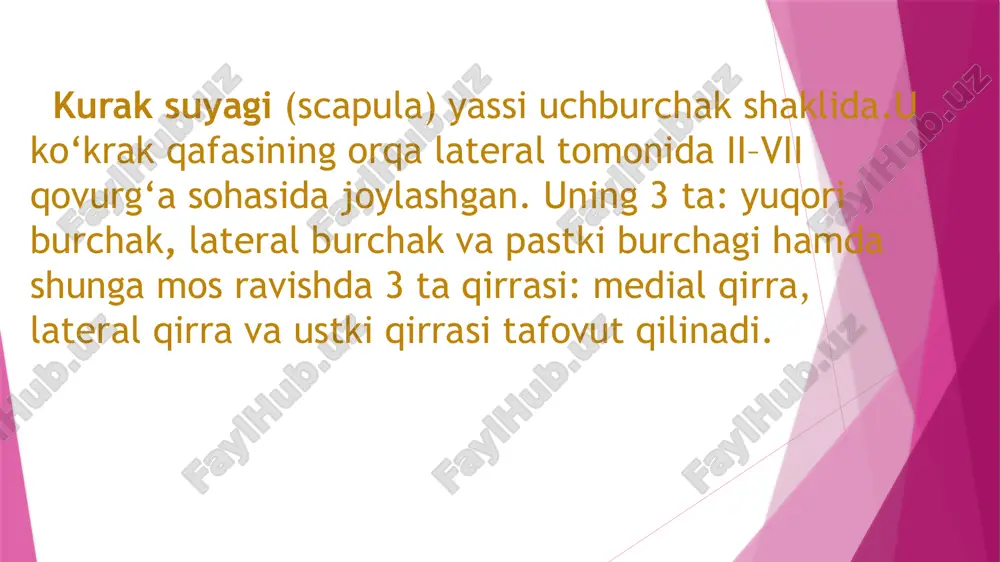 asosi; 6–ilmoqli suyak; 7–uch qirrali suyak; 8– no‘xatsimon suyak; 9–yarim oysimon suyak; 10–qayiqsimon suyak; 11 boshchali suyak; 12–trapetsiyasimon suyak; 13–trapetsiya suyagi; 14–i qo‘l kafti suyagi; 15–qo‘l kafti suyagining boshchasi; 16–proximal falanga; 17–o‘rta falanga; 18 falanga boshchasi; 19–distal falanga image1.jpg image2.emf image3.emf image4.emf image5.emf image6.emf image7.emf /docprops/thumbnail.jpeg