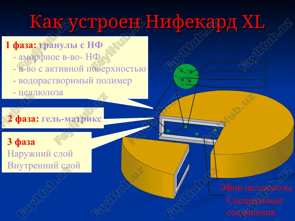 m izosorbid dinitrat olikard (izosorbid-5-mononitrat) izosorbid-5-mononitrat 22-43% 100 % pechen krovenosniy sosud 4. dori vositalarining taqsimlanishi dori vositalarining taqsimlanishi – dori vositalarining organizmning turli to'qima, a'zo va suyuq muhitlariga kirishi va to'planishi. taqsimlanish ko'rsatgichlari boshlang'ich ehtimoliy kontsetratsiya (so) – preparatni vena ichiga yuborilganda hamda a'zo va to'qimalarda bir zumda taqsimlanganda qon plazmasida erishilishi mumkin bo'lgan kontsentratsiyasi. dori vositasining qondagi maksimal (pik) kontsetratsiyasi (smax) – dori vositasining parenteral yoki peroral usul bilan yuborilgandan so'ng tizimli qon aylanishida erishiladigan maksimal kontsentratsiyasi. statsionar (muvozanat) kontsentratsiya (sss) – preparatni organizmga doimiy tezlikda yuborilganda qon plazmasida erishiladigan kontsentratsiyasi. dori vositasini bo'lib-bo'lib, bir xil vaqt oralig'ida va bir xil dozalarda yuborilganda maksimal (sssmax) va minimal (sssmin) muvozanat kontsentratsiyalari farqlanadi. preparatning taqsimlanish hajmi (vd) – preparatni qon plazmasidan to'qimalarga o'tib ushlanib olish darajasi. taqsimlanish hajmi quyidagi formula orqali ifodalanadi: vd=d/so, bunda vd – organizmga tushgan preparat dozasini, uning qon zardobida dastlabki ehtimoliy kontsentratsiyasiga (so) teng bo'lgan kontsentratsiyada …