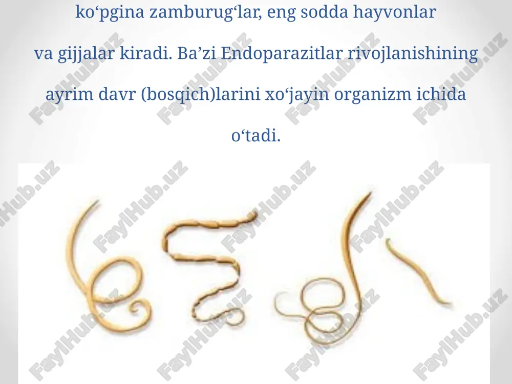 ylarini topish mumkin. mumkin. . malyariya kasalligini davolash dasturi quyidagicha: ① pironaridin 800 mg, sulfadoksin 1000 mg, 50 mg pyrimethamine, 2 kunlik xizmat; yoki 500mg, 1000mg, 50mg ogayo shtatidagi kiyimlarining uchta dori-darmoni. ② artesunate: birinchi kunida 180 mg, 120 mg dan birinchi 2,3 kun, sho'r suvni 5 ml ga sulandırdı, asta tomir tomchilab. ③ artemether 1 kun 160 mg (mushak ichiga), birinchi 80 kunlik 2,3 kun . leyshmaniozning uchta asosiy shakli mavjud: visseral (eng og'ir shakli, davolanmasa, deyarli har doim halokatli), teri (eng keng tarqalgan shakl, odatda terida yaralar paydo bo'lishiga olib keladi) va shilliq teri (burun shilliq qavatiga ta'sir qiladi, og'iz va halqum). leyshmanioz parazit protozoan leishmania tomonidan qo'zg'atiladi, u infektsiyalangan urg'ochi chivinlarning chaqishi bilan yuqadi. . leyshmaniozni davolash usulini tanlash bir qator omillarga bog'liq, masalan, klinik shakli, unga bog'liq bo'lgan patologiyalarning mavjudligi, parazit turi va geografik hudud. leishmaniasis dori terapiyasiga mos keladi va butunlay davolanadi, ammo dorilarning samaradorligi …