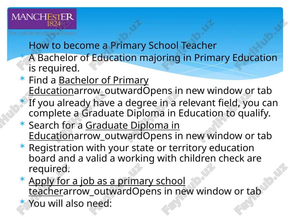 primary school teacher - Page 4