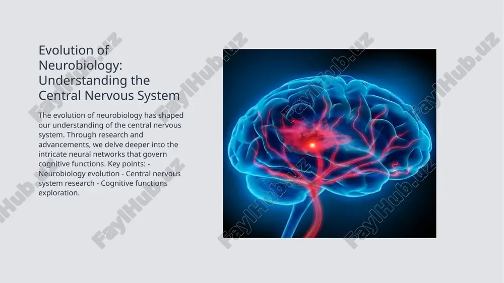 the brain, spinal cord, and nerves. it regulates sensory perception, motor function, and cognitive processes. key functions include transmitting signals, integrating information, and controlling responses. photo by cas holmes on unsplash role of neurons in nervous system functioning 1 neuron basics neurons are the building blocks of the nervous system, transmitting electrical signals. they consist of a cell body, dendrites, and an axon. 2 neuronal communication neurons communicate through synapses, where neurotransmitters are released. this process allows for the transmission of information throughout the nervous system. 3 role in functioning neurons play a crucial role in coordinating bodily functions and responses. their intricate network enables complex actions like movement, sensation, and cognition. implications of neurotransmitters on nervous system functions neurotransmitter functions neurotransmitters are chemical messengers that transmit signals between neurons. they play a crucial role in regulating various functions like mood, memory, and muscle movement. impact on nervous system neurotransmitters …