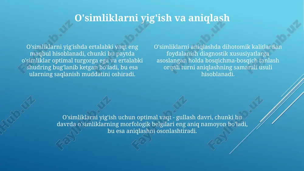 gerbariy tayyorlash usullari - Page 4