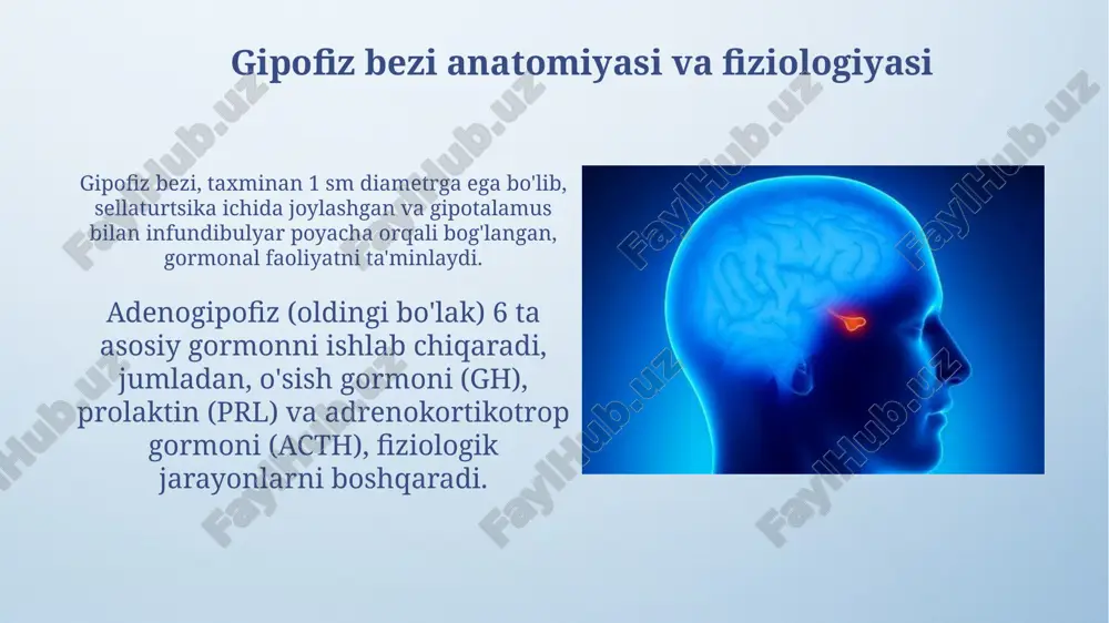 gipofizbezivauningkasallikari - Page 4