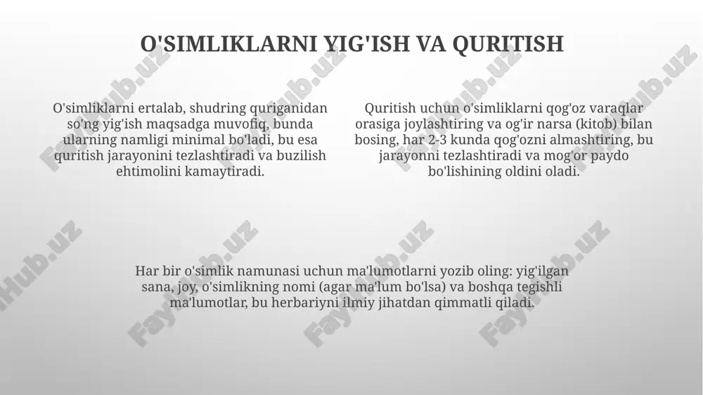 gerbariy tayyorlash va tayyorlash usullari - Page 4
