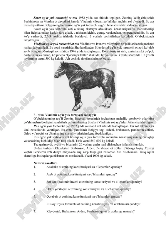 lari va paylari mustahkam, lekin tanasi yirikligi va uzunligi kichikroq. rus yo’rtoqisi zoti o’zbekiston uchun ham rejalashtirilgan zot hisoblanadi. sportda undan tashqari don, kabardin, yangi qirg’iz ot zotlari ham qo’llanadi. 5-rasm. rus yo’rtoqisi zot ayg’ir og’ir yuk tortuvchi ot zotlari. sovet og’ir yuk tortuvchi ot zoti 1952 yilda zot sifatida topilgan. zotning kelib chiqishida pochinkova va mordva ot zavodlari hamda vladimir viloyati xo’jaliklari muhim rol o’ynaydi. bu zot mahalliy otlarni belgiyaning brabanson og’ir yuk tortuvchi ayg’iri bilan chatishtirishdan yaratilgan. sovet og’ir yuk tortuvchi zoti o’zining eksteryer afzalliklari, konstitusiyasi va mahsuldorligi bilan belgiya otidan keskin farq qiladi, u nisbatan kichik, quruq, xarakatchan, temperamentlidir. bu zot ko’p yashaydi, 2,5-3 yoshda ishlatila boshlaydi. 3 yoshda urchitilishga ko’yiladi. o’zbekistonda tarqalmagan. vladimir og’ir yuk tortuvchi ot zoti vladimir va ivanovo viloyatlari xo’jaliklarida xalq mehnati natijasida yaratiladi. bu zotni yaratishda shotlandiyadan kleydestal og’ir yuk tortuvchi ot zoti ko’plab sotib olingan. mustaqil zot sifatida 1946 yilda tasdiqlangan. …