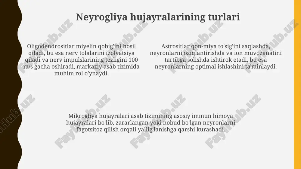 neyrogliya hujayralarining xillari va funksiyalari - Page 4