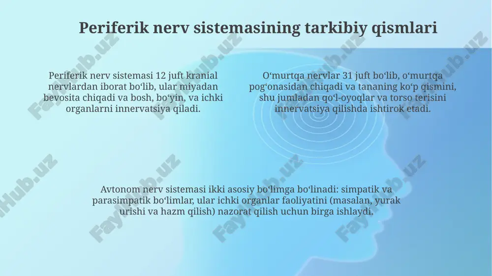 periferik nerv tizimi haqida umumiy ma'lumot - Page 4