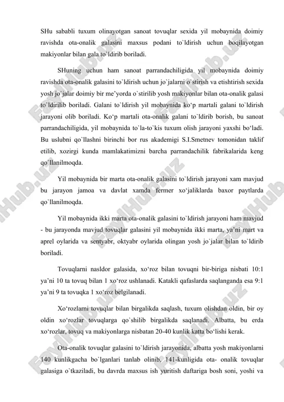 a 1 xo‘roz belgilanadi. xo‘rozlarni tovuqlar bilan birgalikda saqlash, tuxum olishdan oldin, bir oy oldin xo‘rozlar tovuqlarga qo`shilib birgalikda saqlanadi. albatta, bu erda xo‘rozlar, tovuq va makiyonlarga nisbatan 20-40 kunlik katta bo‘lishi kerak. ota-onalik tovuqlar galasini to`ldirish jarayonida, albatta yosh makiyonlarni 140 kunlikgacha bo`lganlari tanlab olinib, 141-kunligida ota- onalik tovuqlar galasiga o`tkaziladi, bu davrda maxsus ish yuritish daftariga bosh soni, yoshi va qaysi sexda o`stirilganligi yozib boriladi. ota- onalik tovuqlar galasini to`ldirish va almashtirish jarayoni 1-2 kunni, joylashtirilishiga qarab 3-5 kungacha davom etishi mumkin. xozirgi kunda uzbekiston parrandachilik birlashmasining bergan ma’lumotlarga ko`ra barcha sanoat parrandachilik korxonalarda 60% gacha tovuqlarni ota-onalik galasi maxsus ixtisoslashtirilgan katakli qafaslarda saqlanmoqda. bu esa erda-pol ustida to`shamalarda saqlashga nisbatan, katakli kafaslarda saqlash 10-15% oziqa sarfini tejash, tuxumlar tannarxini kamaytirishga olib keladi va undan tashqari har 1 m2 bino yuzasidan olinadigan inkubatsiyabop tuxumlar sonini oshirishga, ya’ni bir yil mobaynida 2400 donaga tuxum olish mumkin. erda to`shamalarda saqlasak …