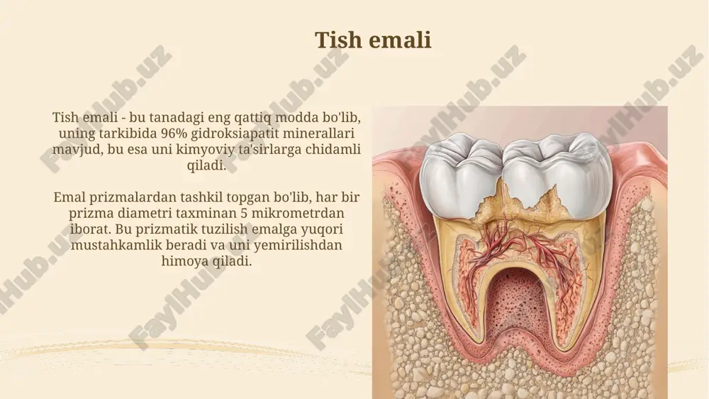 ishi va yurak-qon tomir kasalliklari bilan bog'liq. e'tiboringiz uchun rahmat image2.png image3.jpg image4.jpg image5.jpg image6.jpg image7.jpg image8.jpg image9.jpg image10.jpg image11.jpg image12.jpg image13.jpg image14.jpg image15.jpg image16.jpg image17.jpg