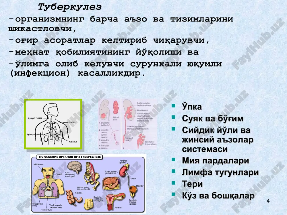 toy sistemi. poetomu sredi kuryashix zabolevanie tuberkulezom vdvoe vishe, chem sredi nekuryashix, a pri xronicheskom alkogolizme tuberkulez vstrechaetsya v shest raz chashe, chem u nepyushix lyudey i protekaet tyajelee. * * dunyo aholisi – 7 mlrd. odam. sil bilan zararlanganlar – 2 mlrd, ya'ni dunyo axolisining 1/3 qismi sil muammosi global masshtabda dunyoda har yili 8-10 mln. odam sil bilan kasallanadi. har yili taxminan 3 million odam sildan o'lmoqda. (ayollar – 900 000. bolalar – 300 000). sildan kuniga 5000 tagacha o'lim holati kuzatilmoqda. vaholangki, silni davolash va oldini olish ham mumkin! sharkiy evropada «stop tb» rejasining natijalari: 99 countries reported treatment success rates 70% or over and dots detection rates 50% or over 32 countries (including 2 countries out of range of graph) have reached both targets. * * * doimiy muomala oila a'zolari uyga kelib ketuvchilar jamiyatda %0 %10 %40 %20 %30 bk+ lar bilan muomalada bo'lganlarning zararlanish …