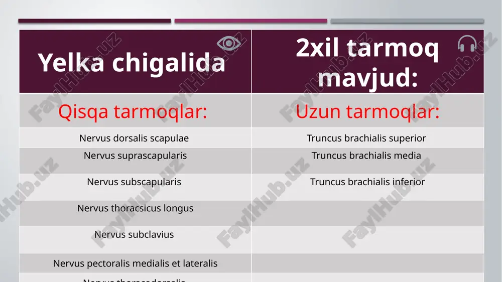 tsiya qiladi) terisi va muskullarini inervatsiya qiladi. 20 e’tiboringiz uchun raxmat! 21 image1.png image6.svg image2.png image4.svg image3.png image4.png image12.svg image5.png image14.svg image6.png image2.svg image7.png image8.png image9.png image10.png image11.png image12.png image13.png image14.png image10.svg image15.png image16.png image17.png image18.png .msftofcthm_accent4_fill { fill:#969fa7; } .msftofcthm_accent4_fill { fill:#969fa7; } .msftofcthm_accent4_fill { fill:#969fa7; } .msftofcthm_accent4_fill { fill:#969fa7; } .msftofcthm_accent4_fill { fill:#969fa7; } .msftofcthm_accent4_fill { fill:#969fa7; }