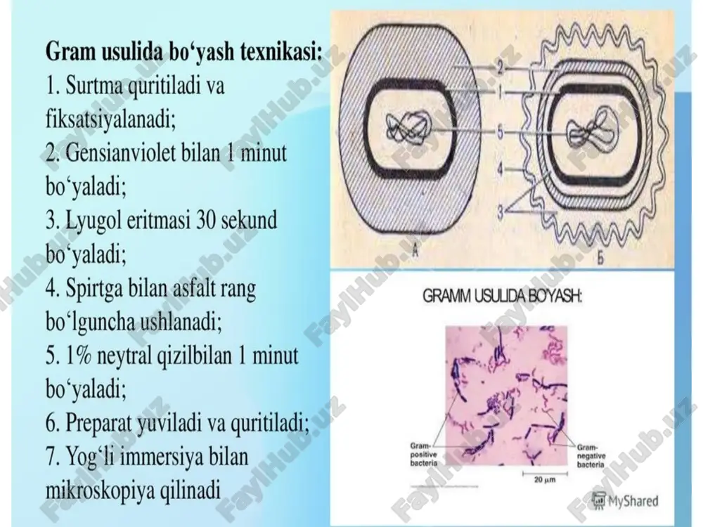 oddiyvadifferensial bo‘yash - Page 4