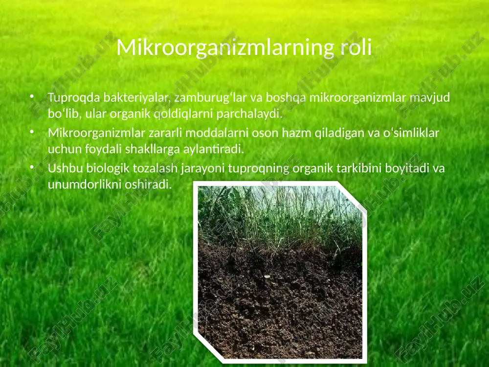 susiyati suv havzalari, o‘simliklar va hayvonlar uchun foydali. toza tuproq ekotizim barqarorligini ta’minlaydi. tuproqni himoya qilish butun ekotizimni saqlashga yordam beradi. tuproqni tabiiy tozalashning afzalliklari kimyoviy moddalarni kamaytiradi. suv va o‘simliklar sifatini oshiradi. ekotizim barqarorligini saqlaydi. odamlar va hayvonlar uchun xavfsiz muhit yaratadi. tuproqni himoya qilish yo‘llari organik qoldiqlarni saqlash va qayta ishlatish. kimyoviy moddalardan ortiqcha foydalanmaslik. tuproqni qoplash va eroziyadan himoya qilish. shu yo‘llar orqali tuproq tabiiy tozalash qobiliyatini saqlaydi. xulosa tuproq o‘zini tabiiy ravishda tozalash qobiliyatiga ega. bu jarayonlar o‘simliklar, suv havzalari va butun ekotizim uchun foydalidir. tuproqni himoya qilish kelajak avlod uchun sog‘lom yer qoldirish demakdir. image1.jpeg image2.png image3.png image4.png image5.png image6.png image7.png image8.png /docprops/thumbnail.jpeg