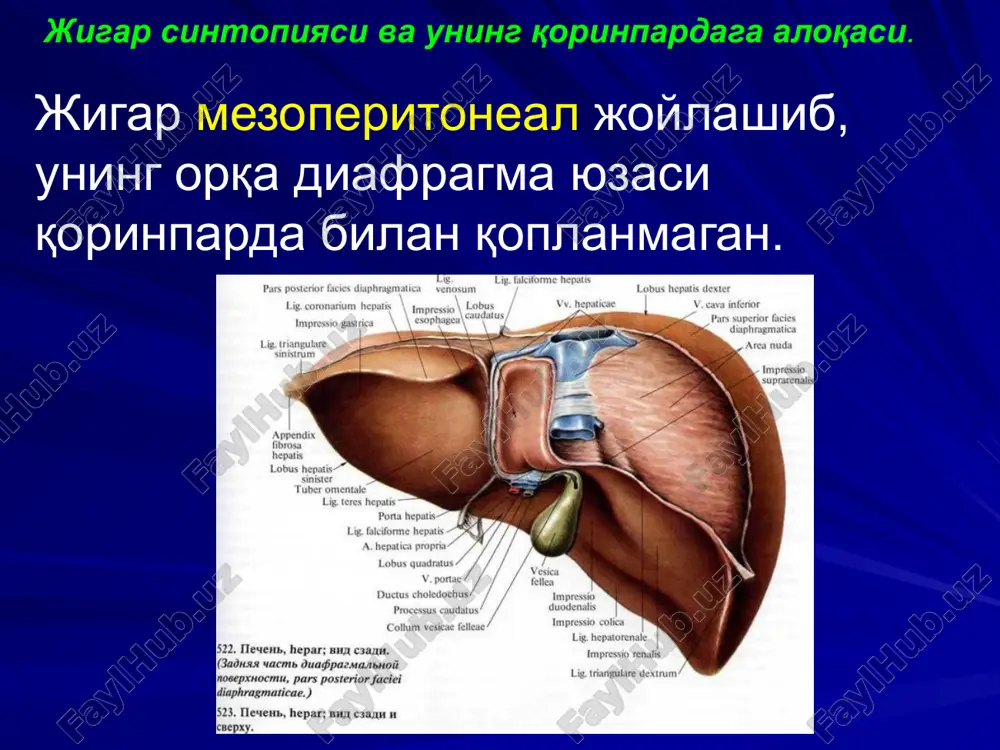 uts/slidelayout11.xml ppt/slidelayouts/slidelayout12.xml ppt/slidelayouts/slidelayout7.xml ppt/slidelayouts/slidelayout6.xml ppt/slidelayouts/slidelayout5.xml ppt/slidelayouts/slidelayout1.xml ppt/slidelayouts/slidelayout2.xml ppt/slidelayouts/slidelayout3.xml ppt/slidelayouts/slidelayout4.xml ppt/slidelayouts/slidelayout13.xml ppt/slidelayouts/slidelayout9.xml ppt/slidelayouts/slidelayout15.xml ppt/slidelayouts/slidelayout22.xml ppt/slidelayouts/slidelayout23.xml ppt/slidelayouts/slidelayout14.xml ppt/slidelayouts/_rels/slidelayout24.xml.rels ppt/slidelayouts/slidelayout21.xml ppt/slidelayouts/slidelayout24.xml ppt/slidelayouts/slidelayout19.xml ppt/slidelayouts/slidelayout16.xml ppt/slidelayouts/slidelayout17.xml ppt/slidelayouts/slidelayout20.xml ppt/slidelayouts/slidelayout18.xml ppt/media/image117.png ppt/media/image118.png ppt/media/image119.png ppt/media/image120.png ppt/media/image121.png ppt/media/image122.png ppt/media/image123.png ppt/media/image116.png ppt/media/image105.png ppt/media/image114.png ppt/media/image37.png ppt/media/image38.png ppt/media/image39.png ppt/media/image40.png ppt/media/image41.png ppt/media/image36.png ppt/media/image35.png ppt/media/image34.png ppt/media/image29.jpeg ppt/media/image30.png ppt/media/image31.png ppt/media/image32.gif ppt/media/image33.png ppt/media/image42.png ppt/media/image43.png ppt/media/image44.png ppt/media/image52.png ppt/media/image53.png ppt/media/image54.png ppt/media/image55.png ppt/media/image56.png ppt/media/image51.png ppt/media/image50.png ppt/media/image49.png ppt/media/image45.png ppt/media/image46.png ppt/media/image47.png ppt/media/image48.png ppt/media/image28.png ppt/media/image27.jpeg ppt/media/image26.jpeg ppt/media/image6.jpeg ppt/media/image7.png ppt/media/image8.png ppt/media/image9.png ppt/media/image10.png ppt/media/image5.jpeg ppt/media/image4.jpeg ppt/theme/theme2.xml ppt/theme/theme1.xml ppt/media/image1.png ppt/media/image2.png ppt/media/image3.png ppt/media/image11.png ppt/media/im