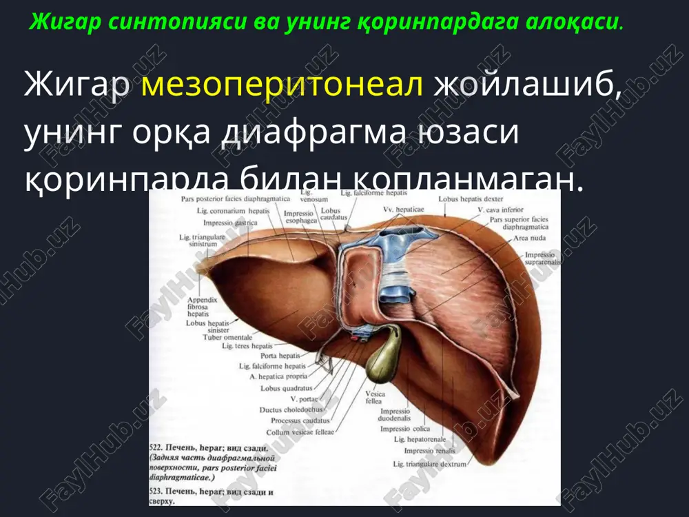 els/presentation.xml.rels ppt/slidelayouts/_rels/slidelayout22.xml.rels ppt/slidelayouts/_rels/slidelayout21.xml.rels ppt/slidelayouts/_rels/slidelayout19.xml.rels ppt/slidelayouts/_rels/slidelayout7.xml.rels ppt/slidelayouts/_rels/slidelayout6.xml.rels ppt/slidelayouts/_rels/slidelayout5.xml.rels ppt/slidelayouts/_rels/slidelayout4.xml.rels ppt/slidelayouts/_rels/slidelayout3.xml.rels ppt/slidelayouts/_rels/slidelayout2.xml.rels ppt/slidelayouts/_rels/slidelayout1.xml.rels ppt/slidemasters/_rels/slidemaster1.xml.rels ppt/slidemasters/slidemaster1.xml ppt/slidelayouts/_rels/slidelayout8.xml.rels ppt/slidelayouts/_rels/slidelayout9.xml.rels ppt/slidelayouts/_rels/slidelayout10.xml.rels ppt/slidelayouts/_rels/slidelayout18.xml.rels ppt/slidelayouts/_rels/slidelayout17.xml.rels ppt/slidelayouts/_rels/slidelayout16.xml.rels ppt/slidelayouts/_rels/slidelayout15.xml.rels ppt/slidelayouts/_rels/slidelayout14.xml.rels ppt/slidemasters/_rels/slidemaster2.xml.rels ppt/slidelayouts/_rels/slidelayout13.xml.rels ppt/slidelayouts/_rels/slidelayout12.xml.rels ppt/slidelayouts/_rels/slidelayout11.xml.rels ppt/slidelayouts/_rels/slidelayout20.xml.rels ppt/slidemasters/slidemaster2.xml ppt/slidelayouts/_rels/slidelayout23.xml.rels ppt/slidelayouts/slidelayout8.xml ppt/slidelayouts/slidelayout10.xml ppt/slidelayouts/slidelayout11.xml ppt/slidelayouts/slidelayout12.xml ppt/slidelayouts/slidelayout7.xml ppt/slidelayouts/slidelayout6.xml ppt/slidelayouts/slidelayout5.xml ppt/slidelayouts/slidelayout1.xml ppt/slidelayouts/slidelayout2.xml ppt/slidelayouts/slidelayout3.xml ppt/slidelayouts/slidelayout4.xml ppt/slidelayouts/slidelayout13.xml ppt/slidelayouts/slidelayout9.xml ppt/slidelayouts/slidelayout15.xml ppt/slidelayouts/slidelayout22.xml ppt/slidelayouts/slidelayout23.xml ppt/slidelayouts/slidelayout14.xml ppt/slidelayouts/_rels/slidelayout24.xml.rels ppt/slidelayouts/slidelayout21.xml ppt/slidelayouts/slidelayout24.xml ppt/slidelayouts/slidelayout19.xml ppt/slidelayouts/slidelayout16