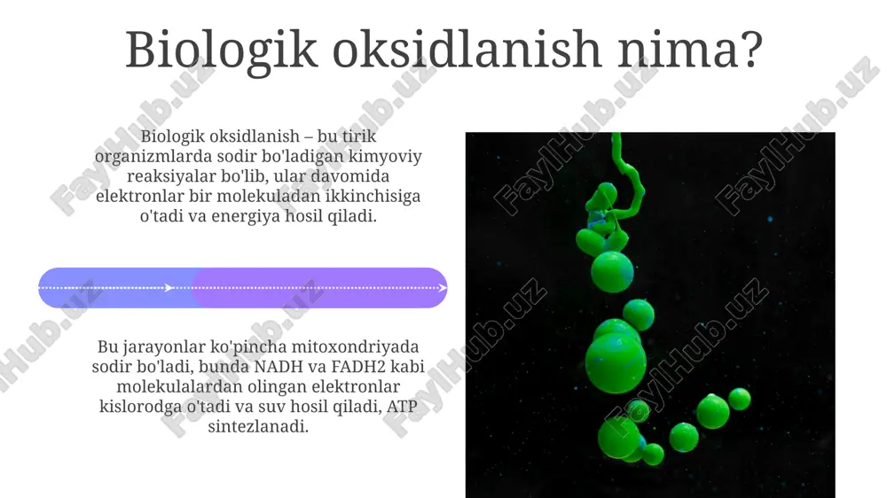 holatdagiga nisbatan 100 barobargacha oshishi mumkin. mashq paytida kislorod iste'moli yuqori intensiv mashq paytida kislorod defitsiti yuzaga kelishi mumkin, bu esa anaerob metabolizmga o'tishga olib keladi, natijada laktat kislotasi ishlab chiqarish ko'payadi. mashq davomida mushaklar energiya talabini qondirish uchun kislorod iste'moli sezilarli darajada ortadi, bu esa hujayralar mitoxondriyalarida atp sintezini kuchaytiradi. kasalliklarda kislorod iste'molining o'zgarishi sepsisda kislorod iste'moli dastlab ortadi, keyin hujayra darajasida mitoxondrial disfunktsiya tufayli kamayishi mumkin, bu to'qimalar gipoksiyasiga olib keladi, hatto yetarli o2 yetkazib berilsa ham. surunkali obstruktiv o'pka kasalligida (koah) kislorod iste'moli nafas olish mushaklarining ishi ortishi va gaz almashinuvining buzilishi tufayli oshadi, bu esa 80-90% o2 sarfiga olib keladi. xulosa xulosa shuni ko'rsatadiki, biologik oksidlanish reaksiyalarida kislorod iste'moli metabolik faollikning muhim ko'rsatkichidir, bu esa hujayraning 1 gramm to'qimasiga sarflangan o2 miqdori bilan belgilanadi. olingan natijalarga ko'ra, nafas olish koeffitsienti (rq) karbonhidratlar, yog'lar va oqsillarni oksidlashda turli xil qiymatlarga ega: 1.0, 0.7 va 0.8 mos ravishda, …