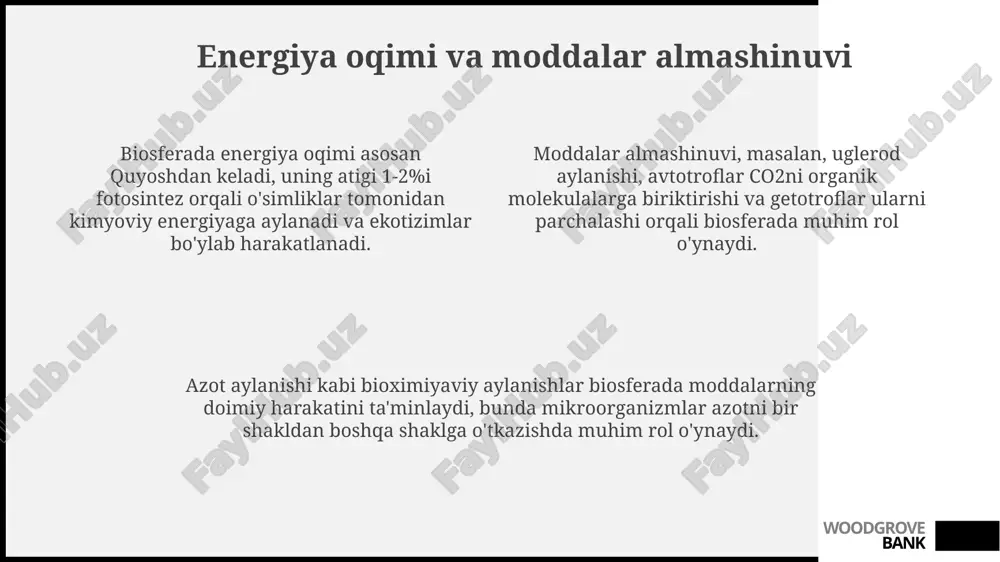 biogeokimyoviy aylanishlar - Page 4