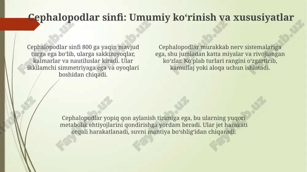 ikkipallalivaboshoyoqlimolyuskalarsinfi - Page 4