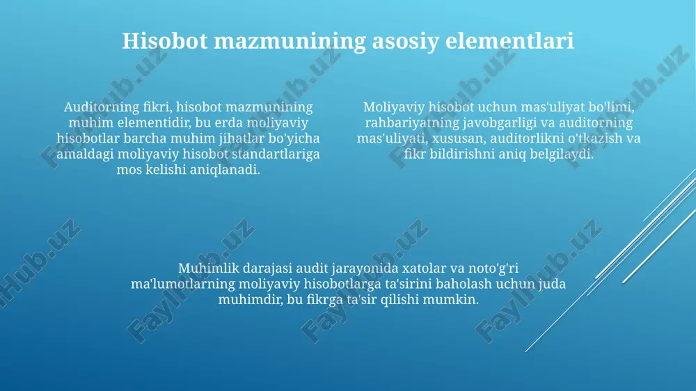mustaqil auditorlik hisoboti - Page 4