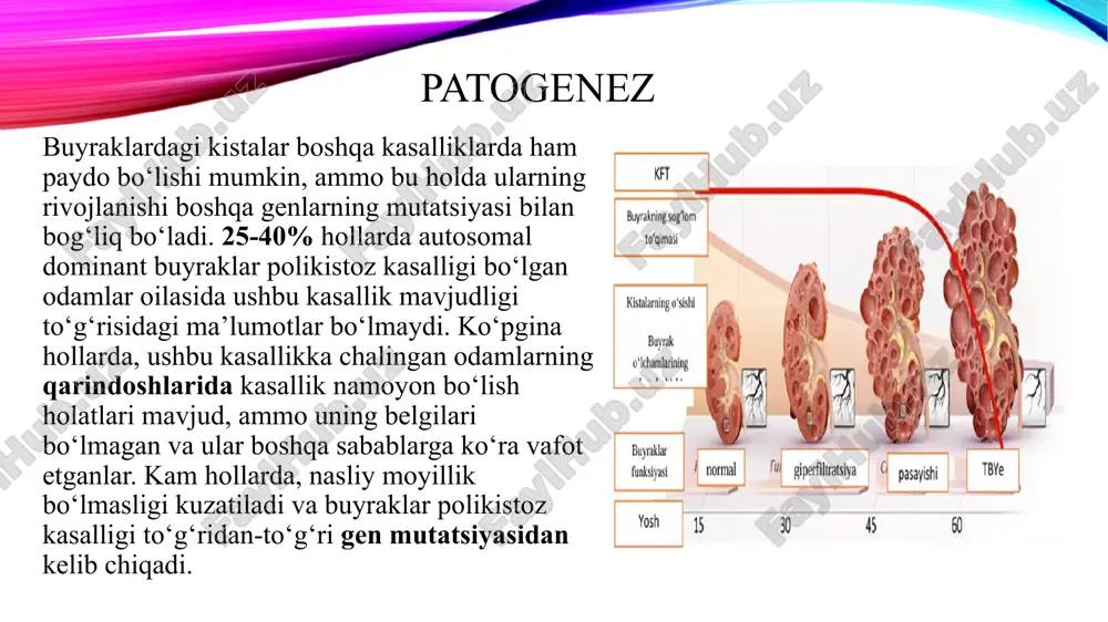 2,2% va 5,9%) protein kinaz inhibitorlari (hujayra proliferatsiyasini, akvaporin2 ekspressiyasini ingibitor qiladi) ✓ roskovitin [50-150mg] ✓ taksol (paklitaksel) ✓ hujayra proliferatsiyasi, hujayra o‘sishi va sistogenezni ingibitor qiladi ✓ kistalar bilan qoplangan epiteliy hujayralarining apoptozini kuchaytiradi gudpascher sindromi -tizimli vaskulit (kapillyarit)hisoblanib,o'pka va buyraklarning gemorragik pnevmoniti va glomerulonefriti ko'rinishida kechadi.ko'proq 20-30 yoshdagi erkaklar kasallanadilar.kasallik birinchi marta 1919 yilda e.w.goodpastur tomonidanyoritilgan. etiologiyasi va patogenezi.gudpascher sindromining kelib chiqishida virusli(a₂-grippi),bakterial infeksiya,sovuqda qolish va ayrim dorilarning (d-penitsillamin)o’rni to'g'risida fikrlar mavjud.kasallik autoimmun xususiyatga ega.chunki aksariyat bemorlarda buyrak va o'pka to'qimalari bazal membranasiga xos hamda aylanib yuruvchi immun komplekslar topiladi.shuningdek,nasliy moyillik(xususan,hlada2)ma'lum ahamiyatga ega. klinikasi.kasallik,odatda,o'tkir-yuqori harorat,qon tupurish yoki o'pkadan qon ketishi va havo yetishmaslik hissi bilan boshlanadi .buyrak shikastlanishi glomerulonefrit ko`rinishida bo`ladi . davolash.bemorlarga prednizolon(kunda 10 mg gacha)sitostatiklar bilan birga (azatioprin yoki siklofosfamid 150-200 mg kunda)buyuriladi.so'nggi yillarda plazmaferezdan keng foydalanilmoqda.gks bilan birga proton pompasi ingibitorlari va kalsiy preparatlari buyuriladi. profilaktikasi.gudpascher sindromining birlamchi proflaktika chora-tadbirlari yaratilmagan. kasallikning oqibati salbiy bo'lib,aksariyat …