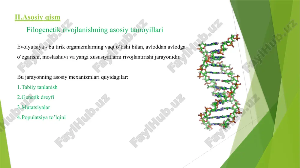 hlardir. bu nuqsonlar ijtimoiy, madaniy va biologik tizimlarga ta'sir ko‘rsatishi mumkin. odamzodda rivojlanishdagi filogenetik nuqsonlar genetik kasalliklar: odamzodda yuzaga kelgan ba'zi genetik kasalliklar, masalan, anemiyas (qon hujayralarining shakl o‘zgarishi), gemofiliya (qonning to‘xtamasligi) yoki daun sindromi (trisomiya 21) kabi kasalliklar, filogenetik nuqsonlar natijasida paydo bo‘lgan. irsiy xususiyatlar va deformatsiyalar: irsi nuqsonlar, masalan, polidaktiliya (ortiqcha barmoqlar), mikrotsefal (kichik bosh) kabi xususiyatlar, avloddan-avlodga o‘tishi mumkin. bu filogenetik nuqsonlar fiziologik va morfologik o‘zgarishlarga olib keladi. epigenetik o‘zgarishlar: epigenetik omillar, ya'ni atrof-muhit ta'siri tufayli yuzaga kelgan genetik o‘zgarishlar ham filogenetik nuqsonlarga olib kelishi mumkin. masalan, yuqori darajadagi stress, noto‘g‘ri ovqatlanish yoki kimyoviy moddalar (teratogenlar)ning ta'siri bolalarning rivojlanishida epigenetik o‘zgarishlarni keltirib chiqarishi mumkin. fiziologik mutatsiyalar – bu organizmning normal fiziologik jarayonlarida yuzaga keladigan o'zgarishlar, bu o'zgarishlar genetik yoki tashqi omillar ta'siri bilan bog'liq bo'lishi mumkin. bunday mutatsiyalar organizmning biologik va fiziologik tizimlarida kutilmagan yoki o'zgarishlarga olib kelishi mumkin, lekin ular ko'pincha hayot uchun zarur bo'lgan jarayonlarning …