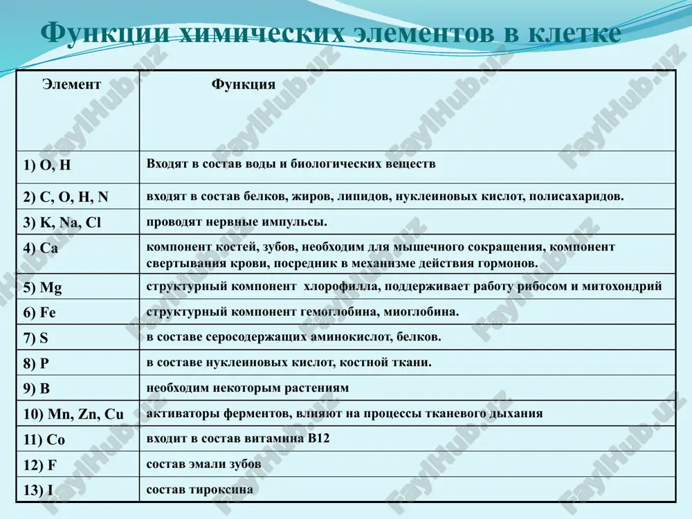 brazuetsya na poverxnosti vodoemov i vipolnyaet funktsiyu teploizolyatsii – zashishaet ot xoloda naxodyashiesya v vode organizmi image2.jpeg image3.jpeg image4.jpeg image5.jpeg image6.jpeg image7.jpeg image8.jpeg image9.jpeg image10.jpeg image11.jpeg image12.jpeg image13.jpeg image14.jpeg /docprops/thumbnail.jpeg