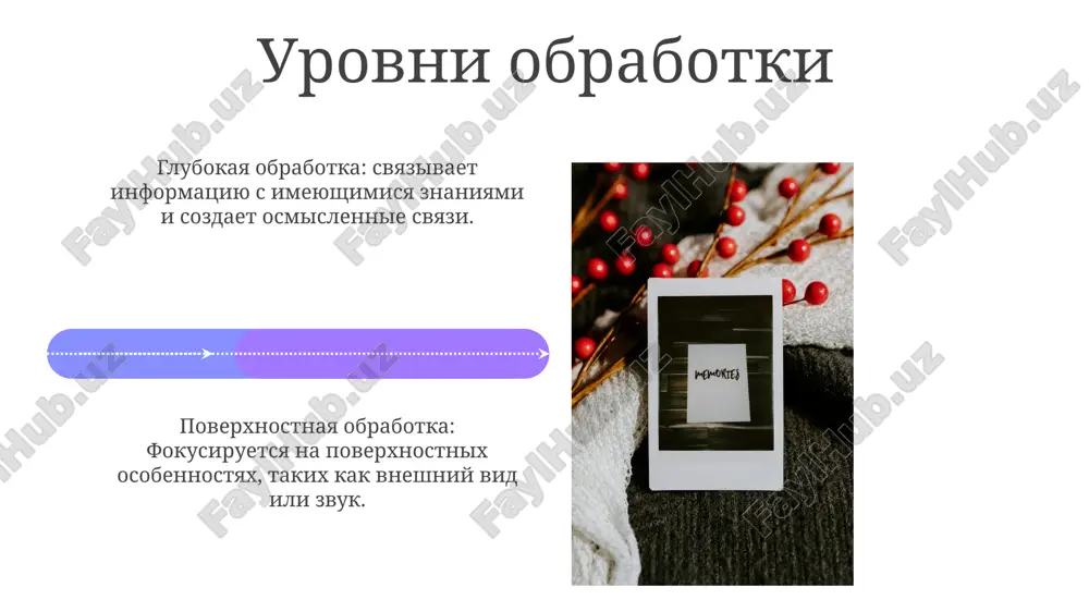 teorii pamyati v psixologii - Page 4