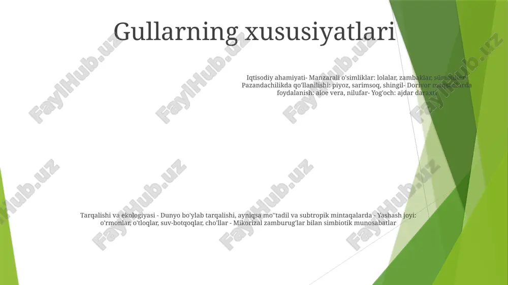 r pallali urug'lar, parallel barg tomirlari va trimer simmetriyali gullar kabi umumiy ajdodlarga xos xususiyatlarga ega. xilma-xillik va ahamiyati: liliaceae - dunyo bo'ylab topilgan 900 dan ortiq turlarni o'z ichiga olgan xilma-xil oila. ko'pgina turlar zambaklar, lolalar va sümbüller kabi bezak gullari uchun qadrlanadi xilma-xillik va tarqalish tarqalishi: zambaklar oilasi sifatida tanilgan liliaceae shimoliy va janubiy yarimsharda keng tarqalgan. u moʻʼtadil va subtropik mintaqalarda, xususan yevroosiyo, shimoliy amerika va janubiy afrikada koʻp. yashash joyining xilma-xilligi: liliaceae turlari turli xil yashash joylarini afzal ko'radi. ularni turli xil yashash joylarida, jumladan o'rmonlarda, o'tloqlarda, o'tloqlarda, suv-botqoqlarda va hatto cho'llarda topish mumkin oilaning kattaligi va xilma-xilligi: liliaceae oilasi eng katta va eng xilma-xil o'simlik oilalaridan biri bo'lib, taxminan 240 avlod va 4000 dan ortiq turga ega. bu oilaga kichik o'tli turlardan baland butalar va katta daraxtlargacha bo'lgan keng turdagi o'simliklar kiradi. geografik taqsimot geografik tarqalishi: liliaceae keng tarqalgan bo'lib, antarktidadan tashqari barcha qit'alarning mo''tadil …