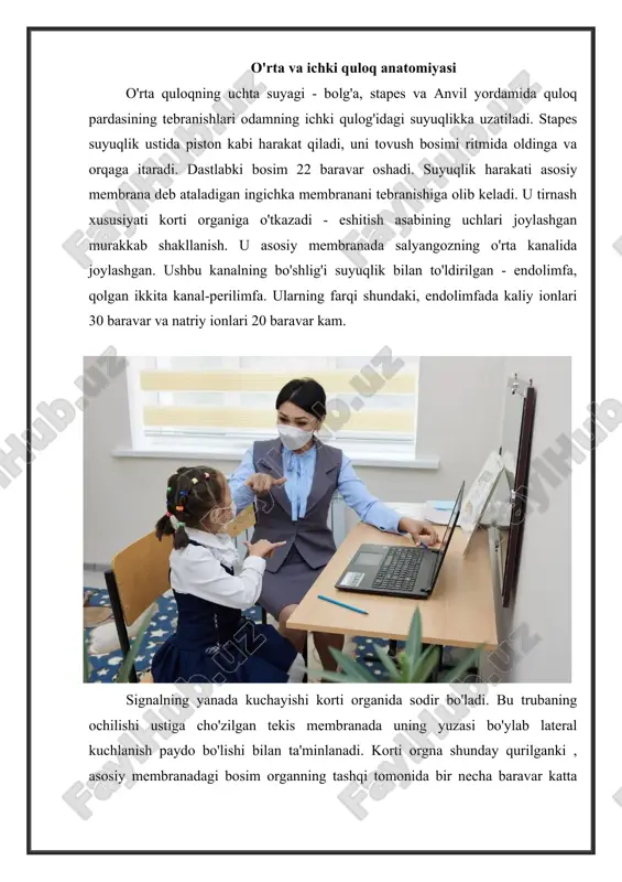 anda ikkala tomon o'rtasidagi o'zaro ta'sir kamayishini va zaytun yadrosigacha kuzatilishini tasdiqladi. balandlikni idrok etish balandlikni idrok etish ikki mexanizm orqali sodir bo'ladi. past ohanglar haqidagi ma'lumotlar miyaga sezilgan tovush chastotasi bilan bir xil chastotali impulslar sifatida uzatiladi. yuqori ohanglar ularni sezadigan soch hujayrasi joylashgan joy bilan kodlangan. tovush tebranishlari kokleaning yuqori va pastki kanallarining suyuqligini tebranish jarayoniga jalb qiladi. tovush ohangi qanchalik baland bo'lsa, suyuqlikning tebranuvchi ustuni shunchalik kichik bo'ladi va maksimal tebranish amplitudasi salyangoz tagiga yaqinroq bo'ladi. past chastotali tovushlar ta'sirida tebranuvchi suyuqlik ustunining uzunligi oshadi va maksimal amplituda joylashgan joy oval oynadan salyangoz tepasiga qarab uzoqlashadi. yuqori ohanglar ta'sirida faqat oval derazadan uzoq bo'lmagan neyronlar yonadi, past tovushlar ta'sirida deyarli barcha retseptorlar faollashadi. ikkala kodlash tizimi ham ma'lum bir chastota diapazonida (1000 gi gacha) harakat qilishi mumkin: asab orqali uzatiladigan impulsning tovush chastotasining aniq muvofiqligi bilan bog'liq va retseptorning joylashishini va faollashtirilgan soch hujayralari sonini aniqlash bilan …