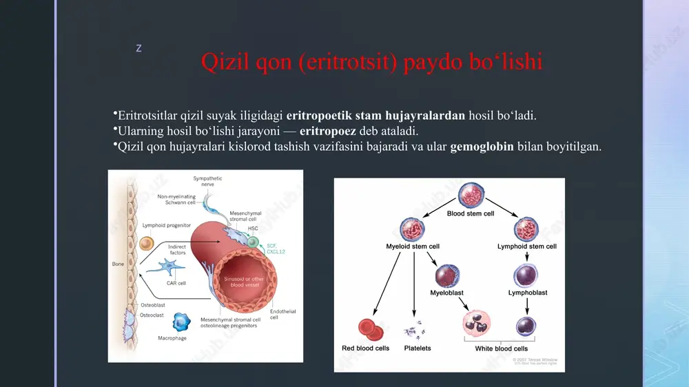 t-monotsit. limfositopoez-o`x-yao`x-unipotent xujayra-limfoblast-prolimfotsit-limfotsit. z venoz qon venoz buzilishlar tomirlar orqali normal qon oqimini buzadigan holatlar bo'lib, ko'pincha jiddiy sog'liq muammolariga olib keladi. tomirlar qon aylanish apparati ichida hal qiluvchi rol o'ynaydi, bu esa tananing turli qismlaridan kislorodsizlangan qonni yana yurakka qaytaradi. bu jarayon buzilganda, engil og'riqdan tortib to jiddiy sog'liq muammolarigacha bo'lgan bir qator alomatlar va asoratlarni keltirib chiqaradi. ushbu kasalliklar har qanday yoshdagi va har qanday yoshdagi odamlarga ta'sir qilishi mumkin, ular orasida varikoz tomirlari, surunkali venoz etishmovchilik va chuqur tomir trombozini o'z ichiga olgan keng tarqalgan kasalliklar mavjud. z venoz kasalliklarning turlari varikoz tomirlari varikoz tomirlari kengaygan, burmalangan tomirlar bo'lib, ular terining yuzasi ostida ko'rinadi. ular ko'pincha ko'k yoki to'q binafsha rangda ko'rinadi va ko'pincha oyoqlarda kuzatiladi. bu holat kattalar aholisining katta qismiga ta'sir qiladi, ayollar erkaklarnikiga qaraganda ko'proq sezgir. varikoz tomirlari qonning teskari oqimiga to'sqinlik qiladigan vena ichidagi klapanlar ishlamay qolganda paydo bo'ladi. ushbu qopqoqning noto'g'ri ishlashi …