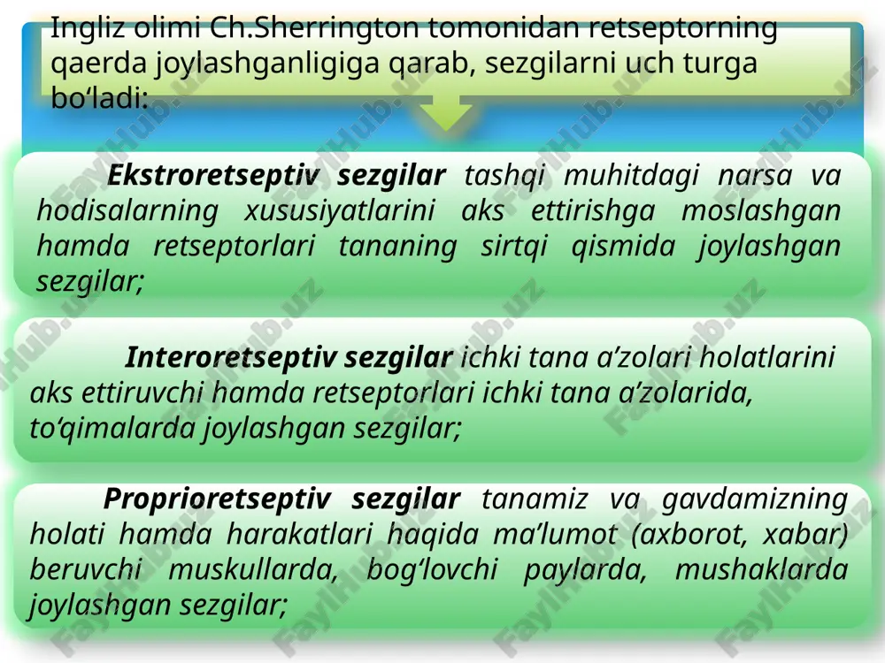uning miqdorini ifoda etadigan xususiyat bo‘lib, ta’sir kelayotgan qo‘zg‘atuvchining kuchi va retseptorning funksional holati bilan belgilanadi. sezgining davomiyligi uning vaqtinchalik xususiyati hisoblanadi. bilinar – bilinmas sezgi hosil qiluvchi qo‘zg‘atuvchining minimal kuchi sezgirlikning quyi chegarasi deyiladi. sezgi chegarasining me’yori qanchalik kichik bo‘lsa, mazkur analizatorning sezgirligi shunchalik yuksak bo‘ladi. formulasi e= — 1 p1 e – sezgirlik r- qo‘zg‘atuvchining ta’sir me’yori. sezgining mutlaqo yuqori sezuvchanligi deb qo‘zg‘atuvchining kuch bilan ta’sir qilishiga aytiladi. sezgilar o‘rtasidagi bilanar–bilinmas farqni hosil qiluvchi ikkita qo‘zg‘atuvchi o‘rtasida mavjud bo‘lgan minimal farq ajratish chegarasi yoki ayirma chegarasi deb ataladi. farqlanishning aksariyat analizatorlari uchun doimiy bo‘lgan nisbiy o‘lchash bilan belgilanadi. ko‘rish analizatori uchun bu nisbat taxminan eshitish analizatori uchun bu nisbat taxminan taktil analizatori uchun bu nisbat taxminan adaptatsiya – yoxud moslashuv – sezgi organlari sezgirligining qo‘zg‘atuvchi ta’siri ostida o‘zgarishi demakdir. adaptatsiya (yoki moslashish) ikki turga bo‘linadi: a) negativ adaptatsiya; b) pozitiv adaptatsiya. tr tavsiya qilingan qo’zg’ovchi tekshiriluvchi dan olingan …