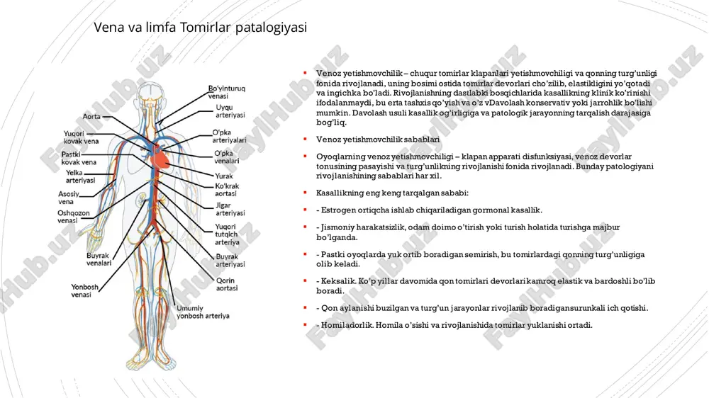masidan kattaroq yosh guruhida uchraydi. u yuqori yoki past darajaga ega bo’lishiga qarab davolanadi va hodgkin limfomasidan ko’ra yomonroq prognozga ega. slide 1: toʻsatdan bolalar oʻlimi sindromi slide 2 slide 3 slide 4 slide 5 slide 6