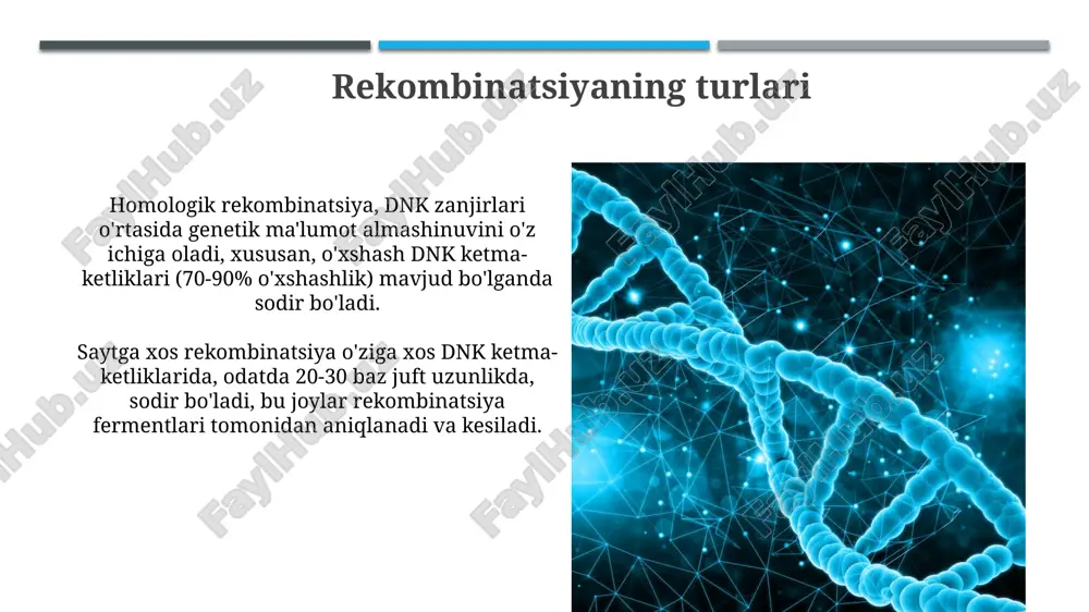 lma-xillikning asosiy omilidir. xromosoma segmentlari almashinuvi natijasida yangi genotip kombinatsiyalari paydo bo'ladi, bu esa fenotiplarning rang-barangligini oshiradi. dnkni tiklash dnkni tiklash fermentlari, masalan, dnk ligaza, 3' oh va 5' fosfat guruhlari o'rtasida fosfodiester bog'larini hosil qilib, dnk zanjiridagi uzilishlarni tiklaydi, bu esa genetik barqarorlikni ta'minlaydi. ekssision tiklash yo'li shikastlangan dnk segmentini, masalan, pirimidin dimerlarini olib tashlaydi va keyin dnk polimeraza va ligaza orqali dnkning to'g'ri ketma-ketligini sintez qilib, 1000 tagacha nukleotidlarni tiklaydi. evolyutsiyadagi roli dnk rekombinatsiyasi yangi genetik kombinatsiyalarni yaratadi, bu esa tabiiy tanlanish uchun xomashyo bo'lib xizmat qiladi va organizmlarning moslashuvchanligini oshiradi. rekombinatsiya genlarning gorizontal ravishda o'tishini ta'minlaydi, bu esa bakteriyalarning antibiotiklarga chidamliligini tezda tarqalishiga imkon beradi va evolyutsiyaga ta'sir qiladi. xulosa dnk rekombinatsiyasi turlari (gomologik, nogomologik) va mexanizmlarini tushunish, 5' dan 3' gacha yo'nalishda nukleotidlar almashinuvi, genetik xilma-xillikni oshirish uchun muhim ahamiyatga ega. rekombinatsiya jarayonida xatoliklar 10^-6 dan 10^-8 gacha chastotada uchrashi mumkin, bu esa genetik kasalliklar va …