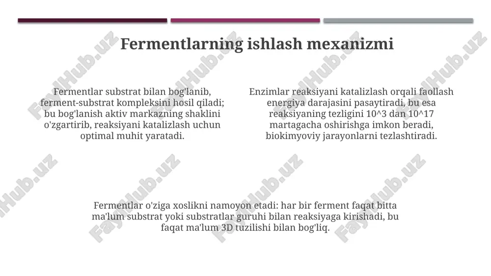 fermentlar - Page 4