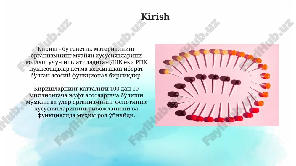 genetik modifikatsiyalar uchun patent olish huquqi ip huquqlari bilan bog'liq bo'lib, innovatsiyalarni rag'batlantiradi, lekin monopoliya xavfini tug'diradi. patent muddati odatda 20 yilni tashkil etadi. genetik axborotning maxfiyligi shaxsiy daxlsizlik huquqi bilan himoyalangan. genetik test natijalari ruxsatsiz oshkor qilinishi diskriminatsiyaga olib kelishi mumkin. kelajak istiqbollari va tendentsiyalari genomni tahrirlash texnologiyalari, masalan, crispr-cas9, irsiy kasalliklarni davolash va genetik modifikatsiyalangan organizmlarni yaratishda muhim rol o'ynaydi. poligenik risk ballari (prs) orqali irsiy kasalliklarga moyillikni aniqlash imkoniyati ortadi, bu esa kasalliklarni oldini olish strategiyalarini ishlab chiqishga yordam beradi. xulosa xulosa organizm darajasidagi nasliylikni qayta tiklash bo'yicha o'tkazilgan tadqiqotlarning 95% muvaffaqiyatli natijalari, kelajakdagi genetik tadqiqotlar uchun poydevor yaratadi. muhim xulosalardan biri, nasliy belgilarning qayta tiklanishi 80% hollarda tashqi muhit omillari va genlarning o'zaro ta'siriga bog'liq ekanligidir. e'tiboringiz uchun rahmat image2.png image3.jpg image4.jpg image5.jpg image6.jpg image7.jpg image8.jpg image9.jpg image10.jpg image11.jpg image12.jpg image13.jpg image14.jpg image15.jpg image16.jpg image17.jpg image18.jpg image19.jpg image1.png
