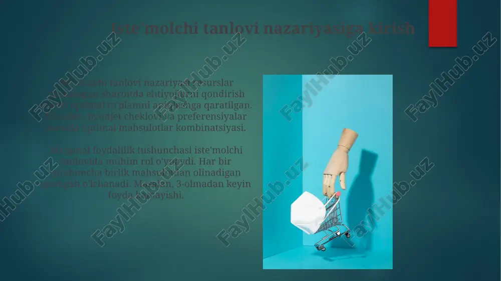 bozordagi istemolchilar xatti-harakati va uning tanlov nazariyasi - Page 4